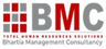 MAVEN BMC PVT LTD -  356 logo