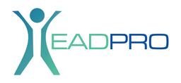 HeadPro Consulting logo